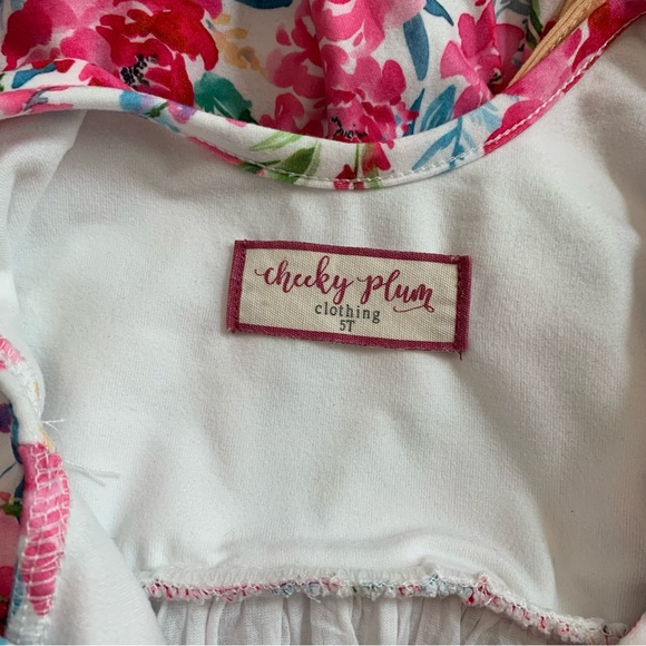 Cheeky Plum 5t Floral Pink Kids Dress - Picture 5 of 6